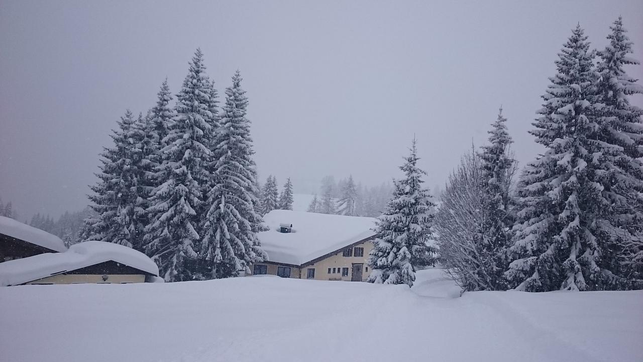 Appartmenthaus Hochkoenig Mühlbach am Hochkönig Exterior foto