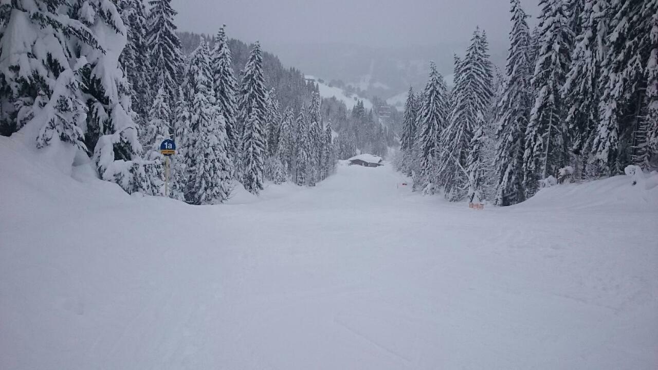 Appartmenthaus Hochkoenig Mühlbach am Hochkönig Exterior foto